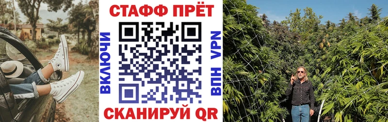 Купить закладку ГАШ  Псилоцибиновые грибы  Меф мяу мяу  Конопля  Закаменск