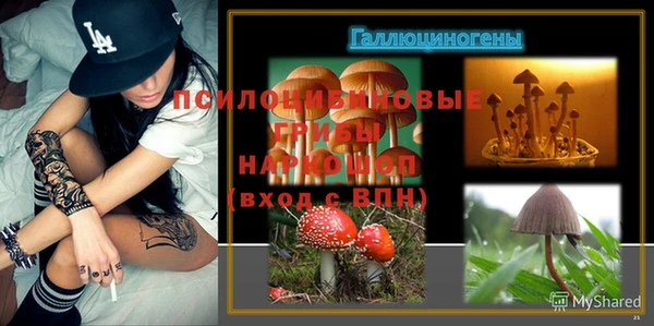 хмурый Майский