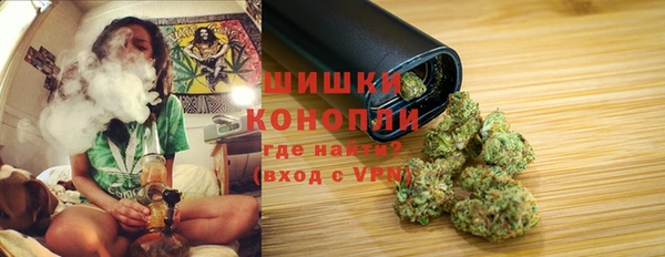 трава Магас