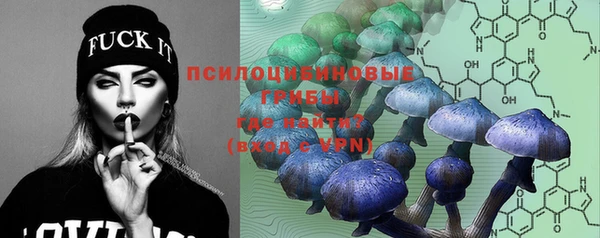 хмурый Майский