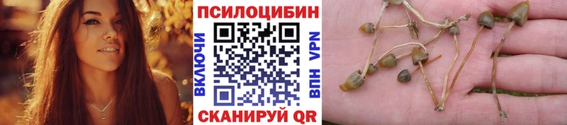 Галлюциногенные грибы Cubensis  Купить  Закаменск 