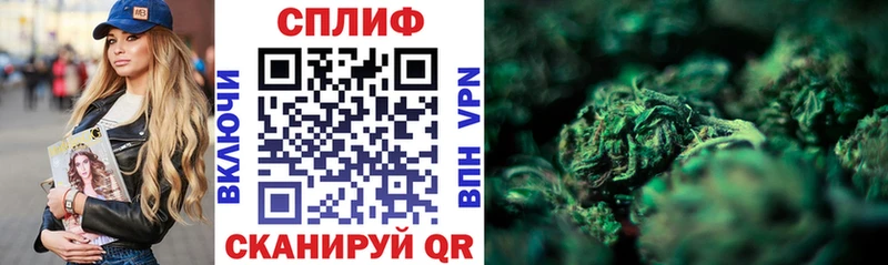 МАРИХУАНА White Widow  Купить закладки  Закаменск 